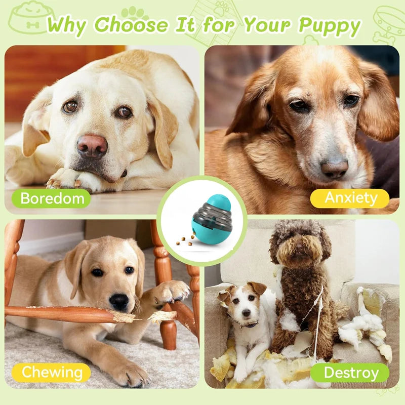 S015565fbd1704487842c3eea0a71c3cal