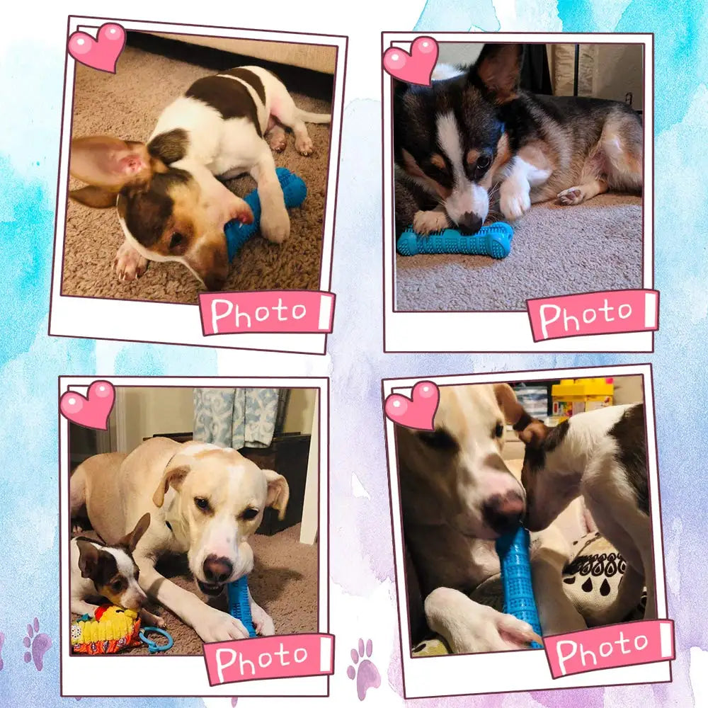 S392dfcaeaa7f42a1ad43d82c9d8c09bef