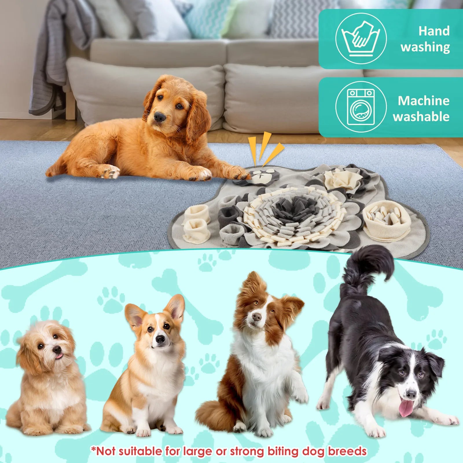 S44192b6964e44b3b9e2f0009760ecdd26