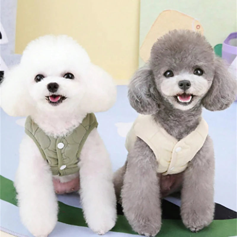 S5021055fb3a94de2888c7138636c1aa5S