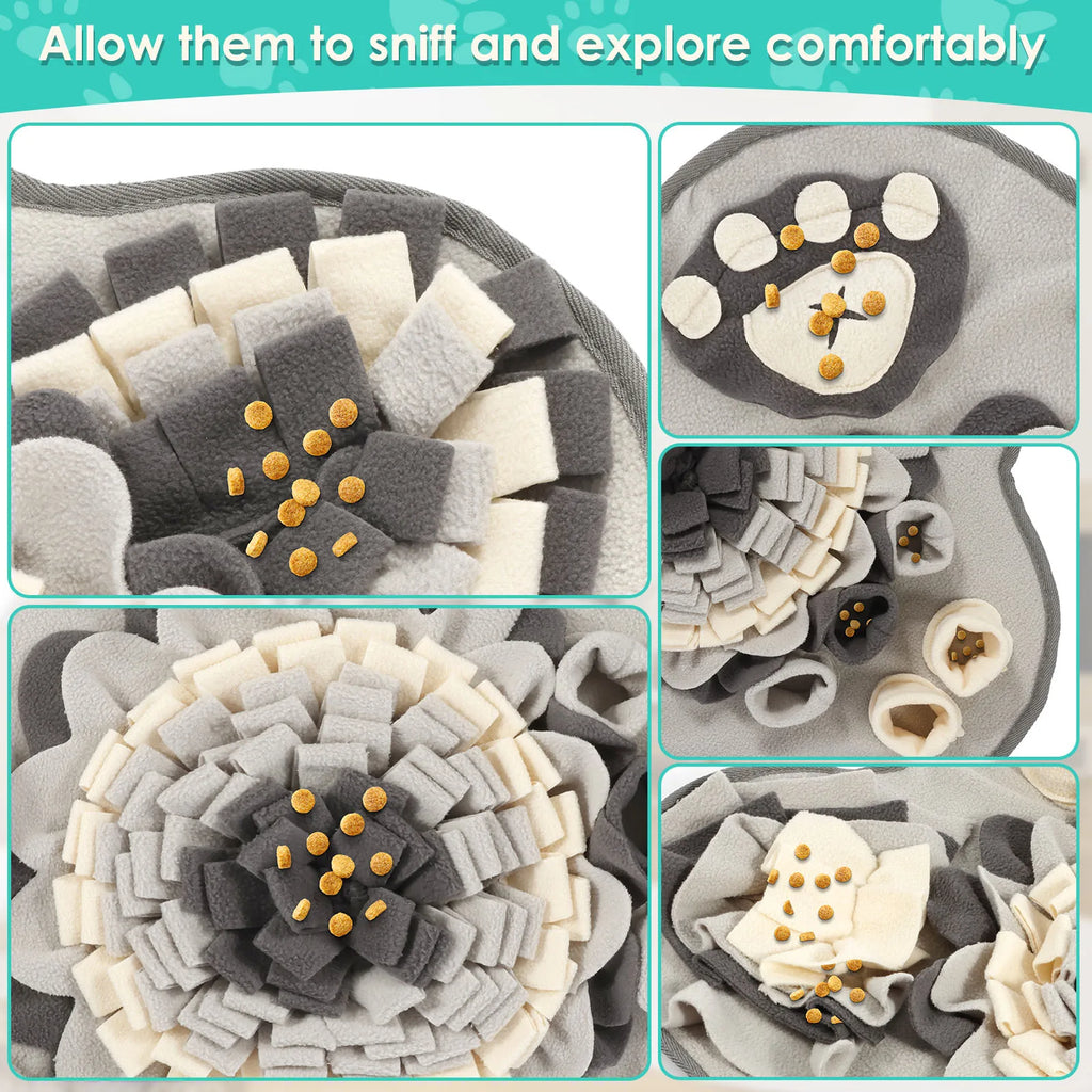 S51269ea1ee24495c9b9f0b2bdc6e5182u