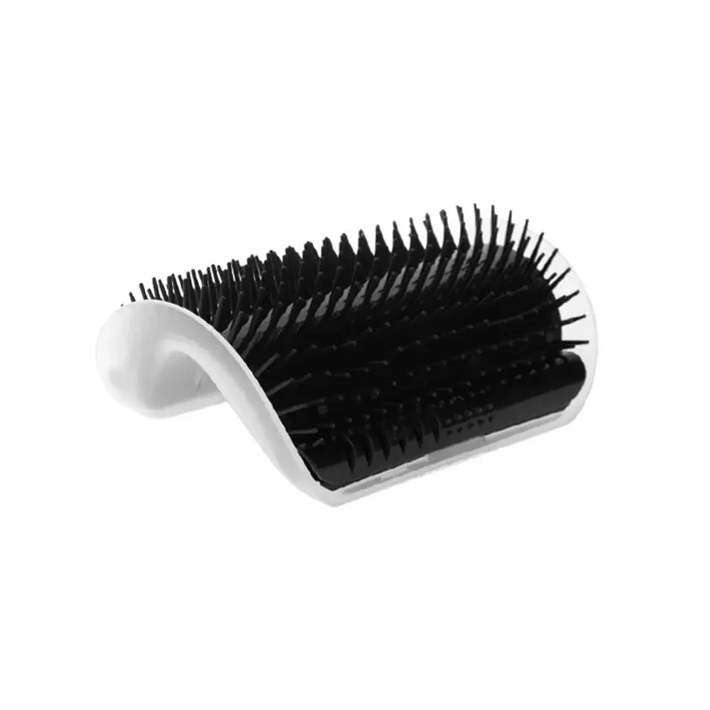 S538f1da34795418ca0f842caff8ef456o