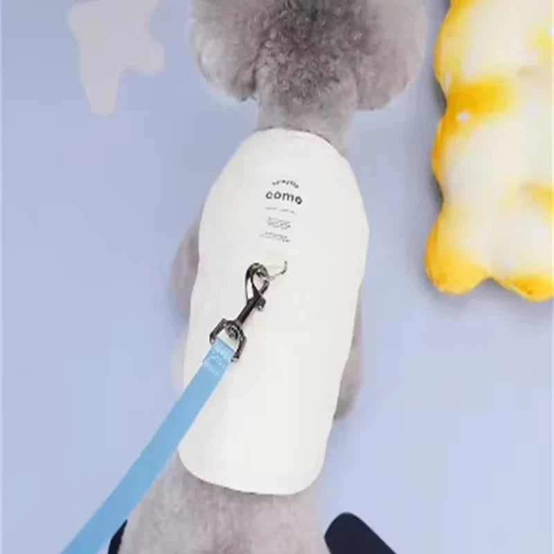 S64a41c184788439e8dc7ed32b32763a5j