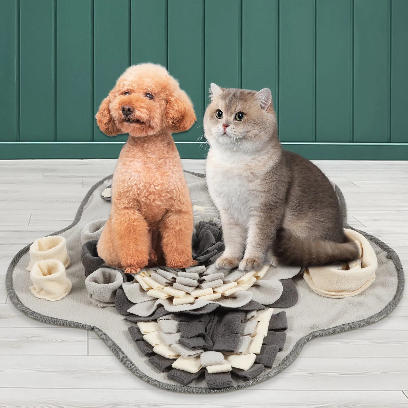 S84f4001e4f92450a976824610794a7can