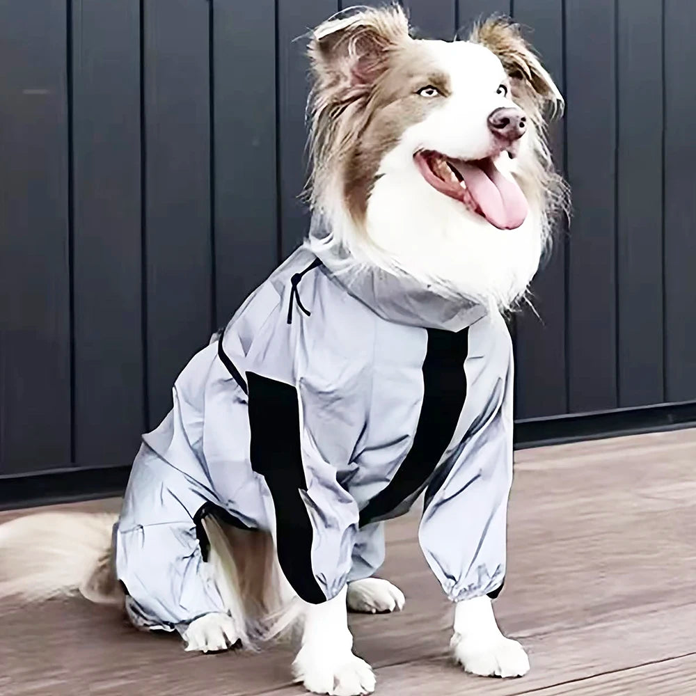 S89591a49c211446cba1004e57f50804aE